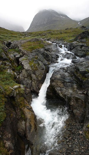 Figure One: A mountain stream with high flow