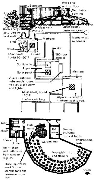 File:80434E21.GIF