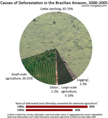 500px-Deforestation-in-the-amazon.jpg