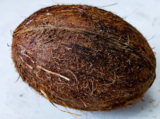 330px-Coconutonwhitebg.png