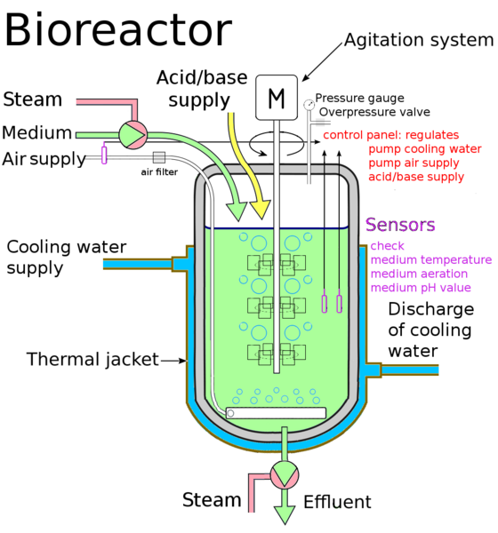 File:Real life bioreactor.png