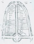 Thumbnail for version as of 21:37, 10 December 2008