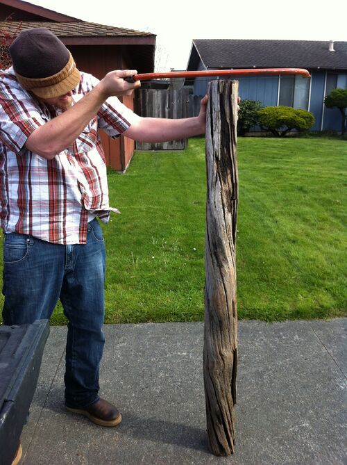 File:Driftwood.JPG