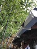 Gutter leading to bucket