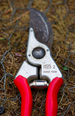 250px-Secateursred.png