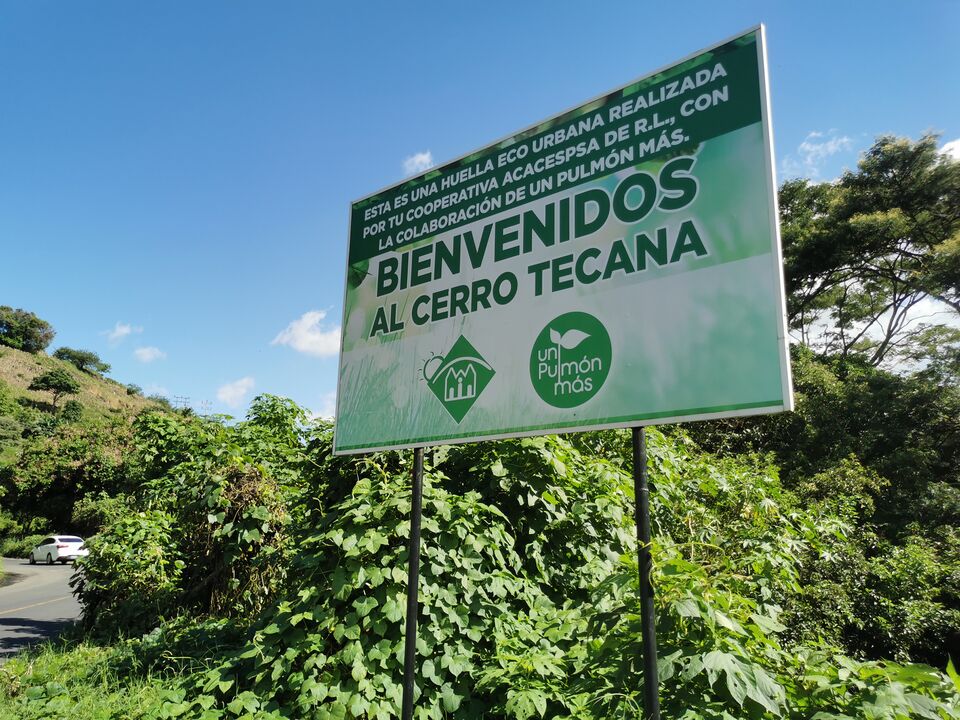 File:UN PULMÓN MÁS 2.jpg