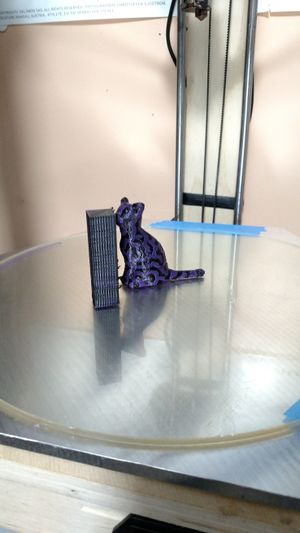 Dual extrusion cat model with prime tower still on bed