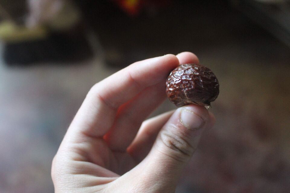 File:Soapberryhusk1.JPG