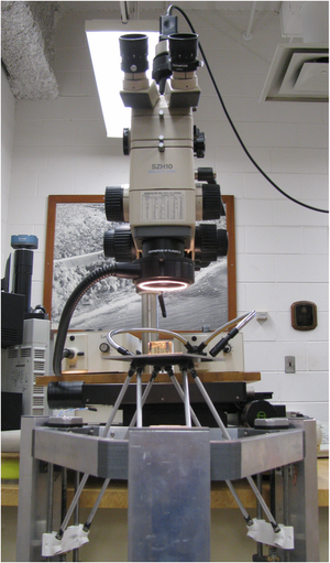 330px-3dmicroscopeup.png