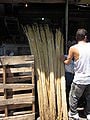 In the Villa Consuelo open air marketplace bamboo is sold by the bunch at $250(RD)