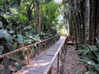 La Laguna Botanical Gardens.jpg