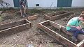 Fig 5: Three beds, prepping for fourth