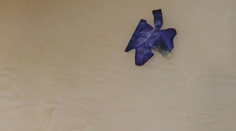 File:TOD Pressed Flower Bad.jpg