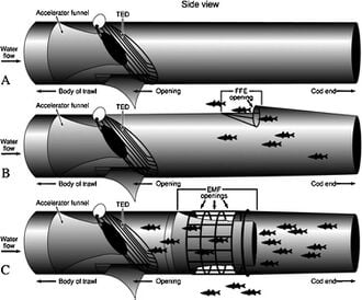 330px-FFE-EMF.jpg