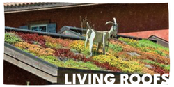 250px-Living-roofs-homepage-2.png