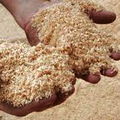 Use sawdust, or another bulking agent like dirt, to cover the smell.