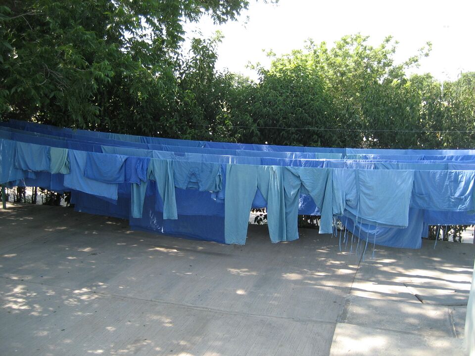 File:IMG 3264.jpg