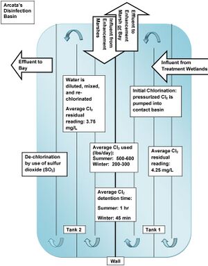 NicoleKraftBasin Page 2.jpg