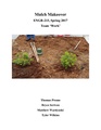 Thumbnail for version as of 21:17, 4 November 2021