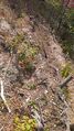View downward from above the Remediation Zone next to the informative sign at the top.
