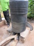 120px-Mush34.JPG