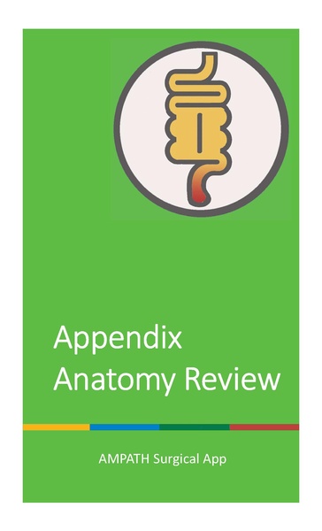 File:Appendix Anatomy Review.pdf