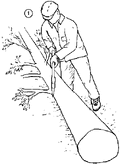Thumbnail for version as of 01:26, 6 January 2007