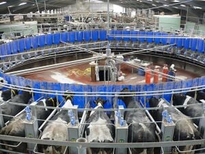 Rotary parlour.jpg