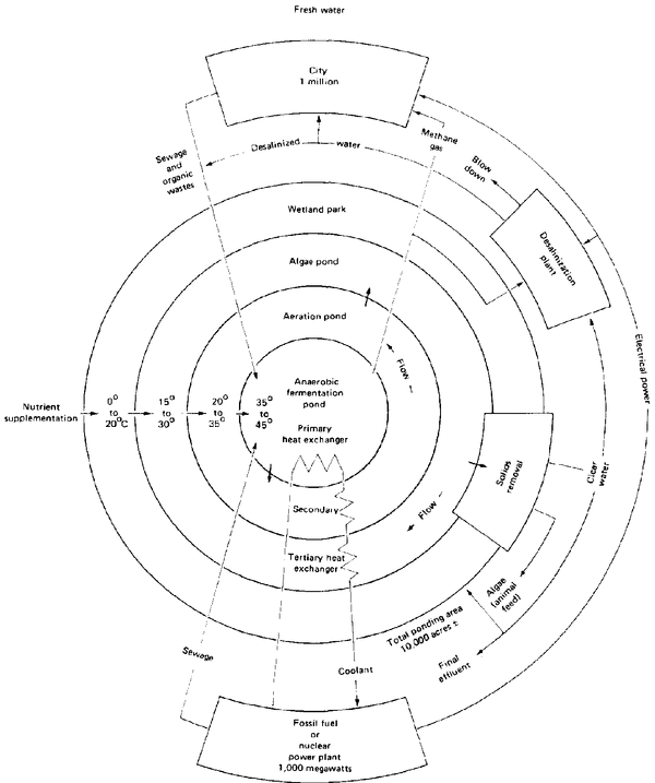 File:80434E1Z.GIF