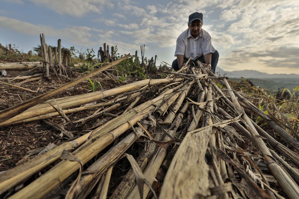 File:Agricultura de conservación2.jpg