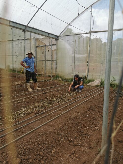 File:ECOFINCA5.jpg