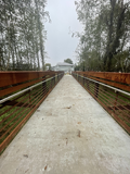 Figure 3-4: Photo of Downstream Janes Creek (trail).