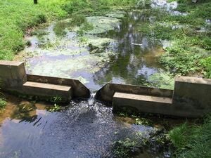330px-Weir.jpg