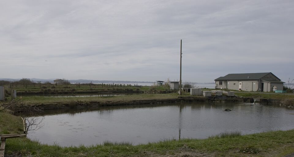 File:Arcata-7129.jpg