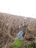 Gathering Biomass