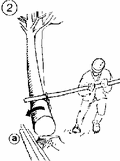 Thumbnail for version as of 01:26, 6 January 2007