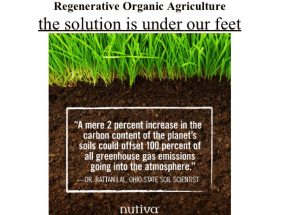 File:Solution-8505.png