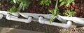 Volcanic rock grow bed of the educational aquaponics system at Adrian College in the greenhouse at Peele Hall.