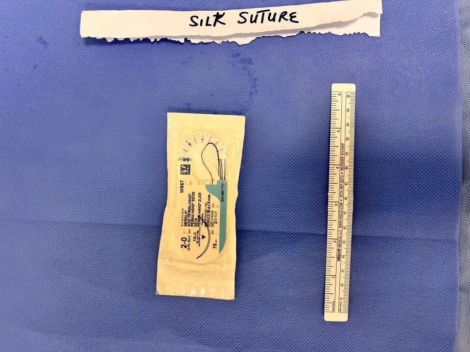 File:Silk suture 1.jpg