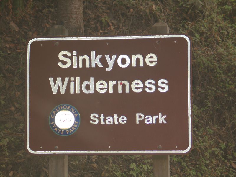 File:Sinkyone state park.jpg