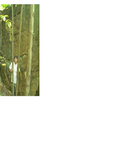 File:My backyard 004.jpg