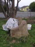 Figure 6a: Plaster Damage 2