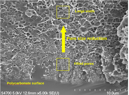 Mass Transport in Conformally Coated Porous Materials