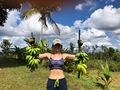 Banana harvest from Las Marias Project Farm in Puerto Rico