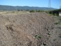 Fig 8: Side view of static compost pile at Arcata Marsh. Photo by Woodland Schultze 2008]]