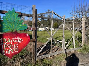 Bayside Park Farm