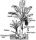 Thumbnail for version as of 01:24, 6 January 2007