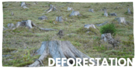 معرض قضايا إزالة الغابات. png