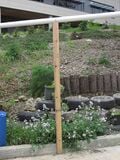 Fig 1: This is the cedar post to help support the piping