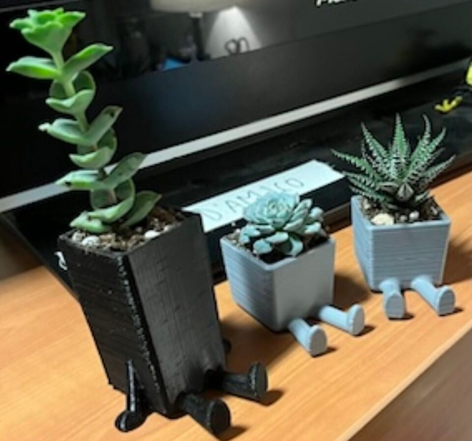 File:Succulant Planters.jpg